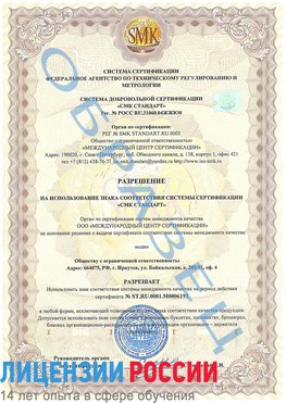 Образец разрешение Нижняя Салда Сертификат ISO 50001